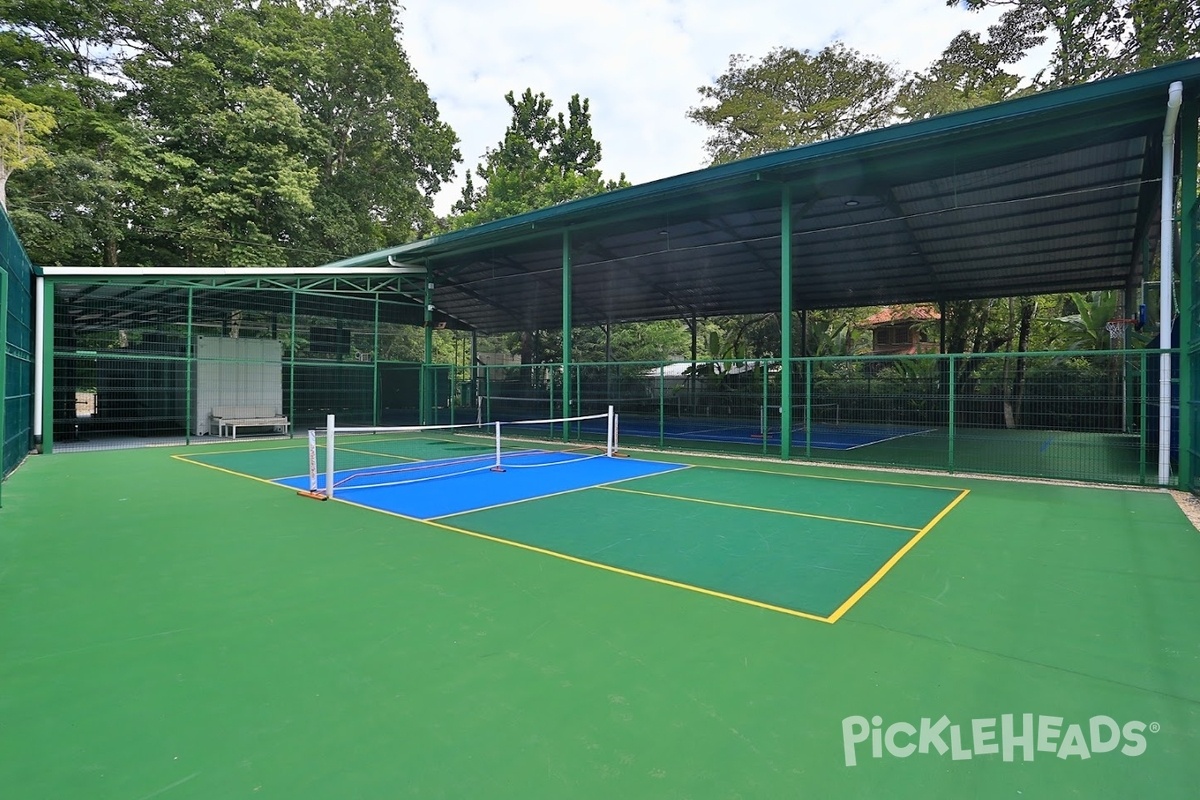 Photo of Pickleball at Ojochal Racquet Club